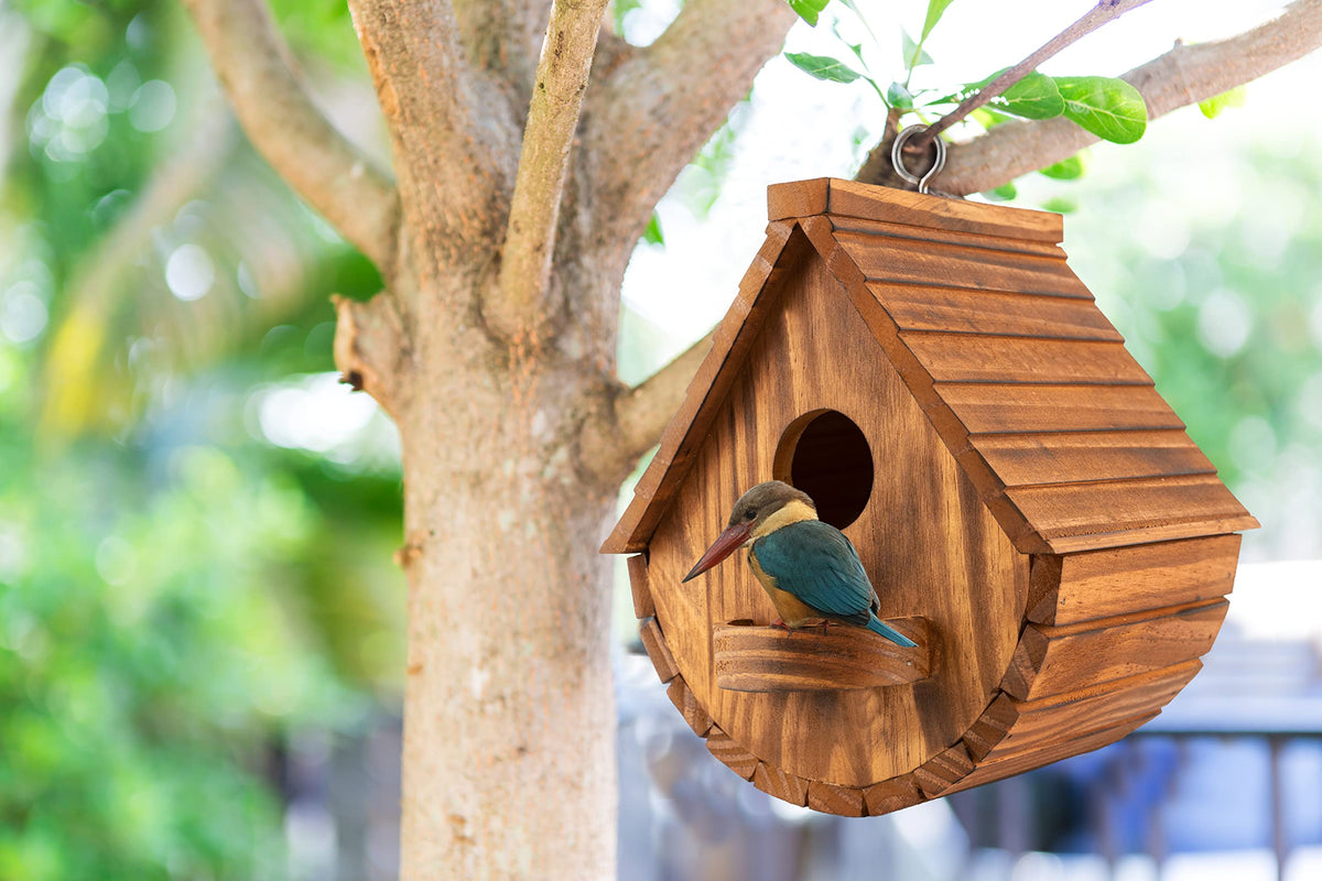 COLEBA hanging bird house on tree shows easy one-hook setup.