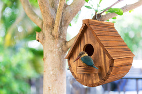 COLEBA hanging bird house on tree shows easy one-hook setup.