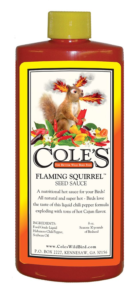 Cole's Flaming Squirrel Seed Sauce bottle pour, spicy bird seed supplement attracting more birds.