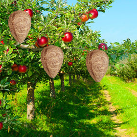 Collabell Wasp Nest Decoy 4-pack setup for extended area protection.