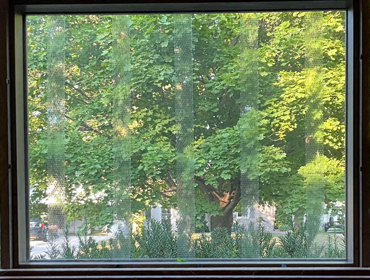 CollidEscape BirdTape covers 2 to 3 windows per 40-foot roll.
