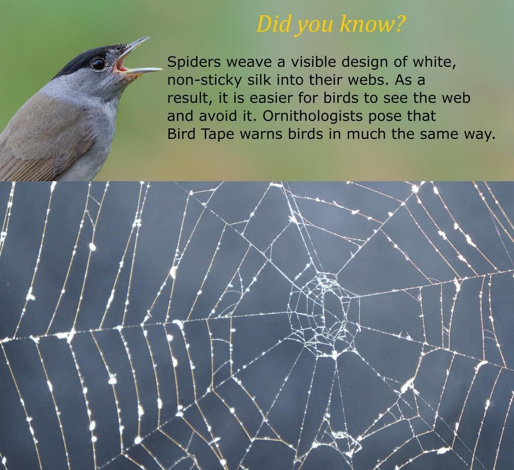 Durable, low-maintenance window protection from CollidEscape BirdTape.