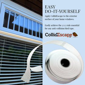 Exterior installation of CollidEscape BirdTape on a window for seamless curb appeal.