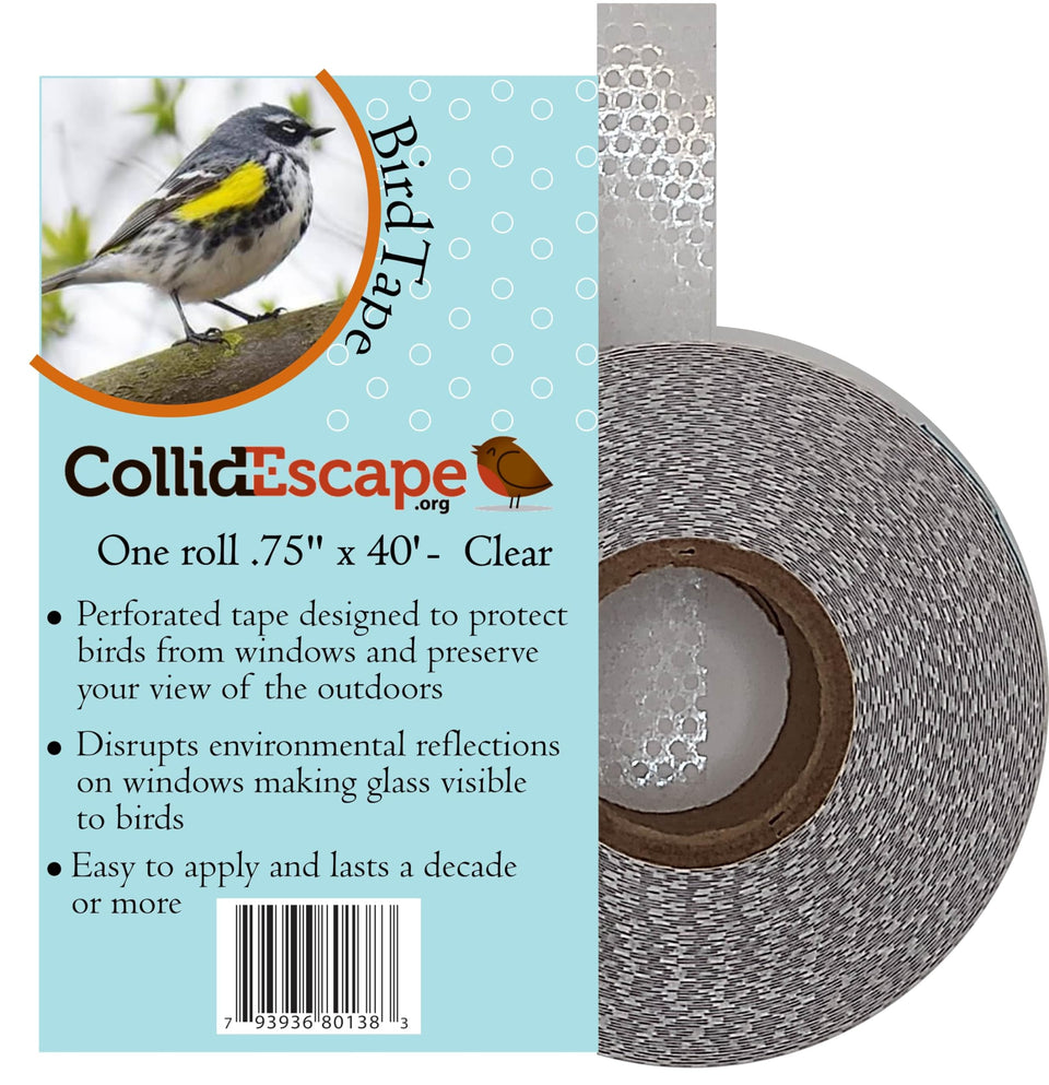 CollidEscape Spiderweb Clear BirdTape on windows reduces bird strikes while preserving your view.