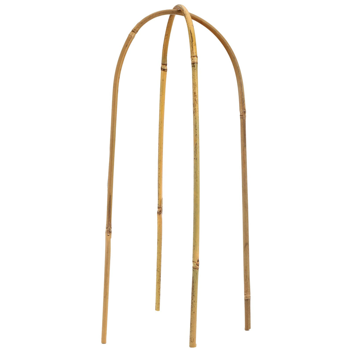 Coloch bamboo trellis enhances wind resistance while keeping plants upright.