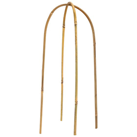 Coloch bamboo trellis enhances wind resistance while keeping plants upright.