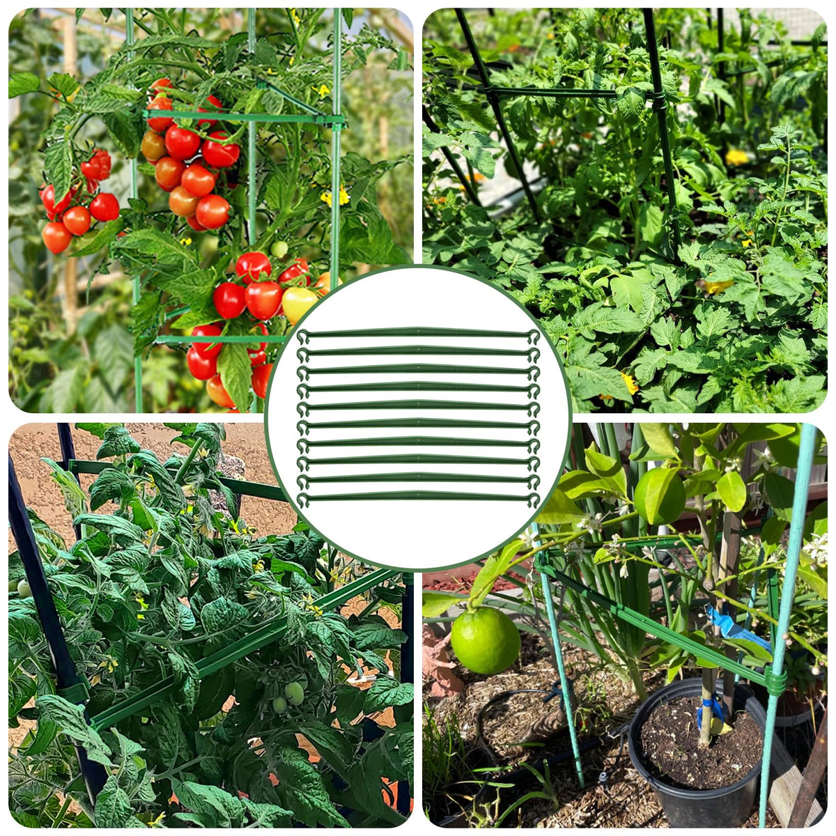 Coloch garden trellis clip system provides a firmer support for climbers.