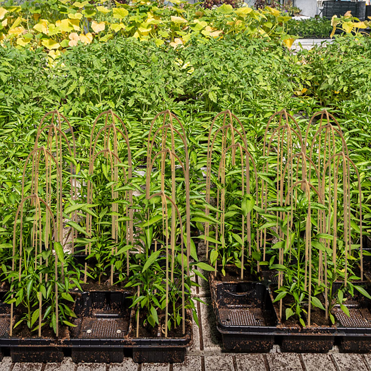 Coloch ivy, orchid, and roses support for indoor and outdoor use.