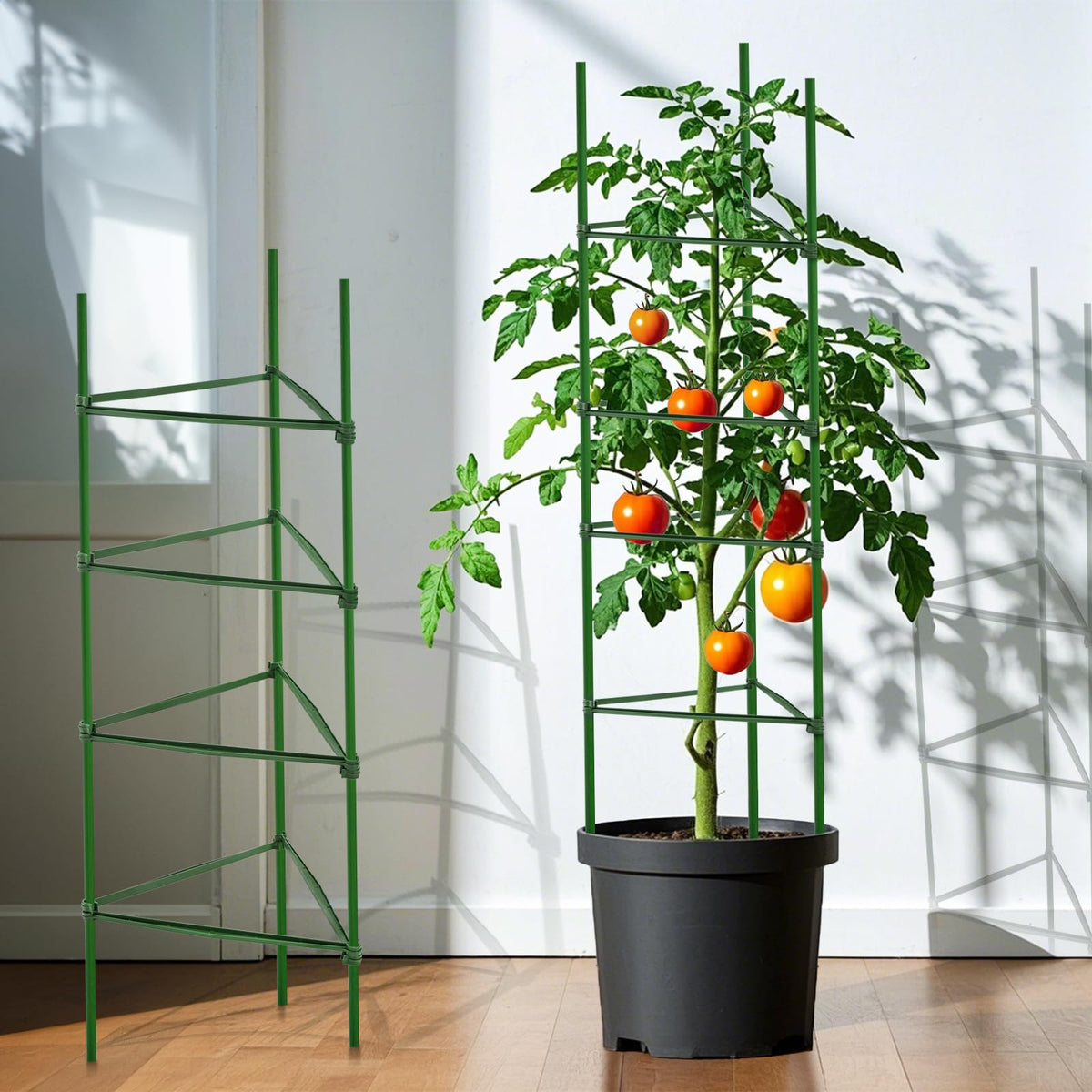 Coloch triangle-square clip lets you shape versatile trellis configurations.