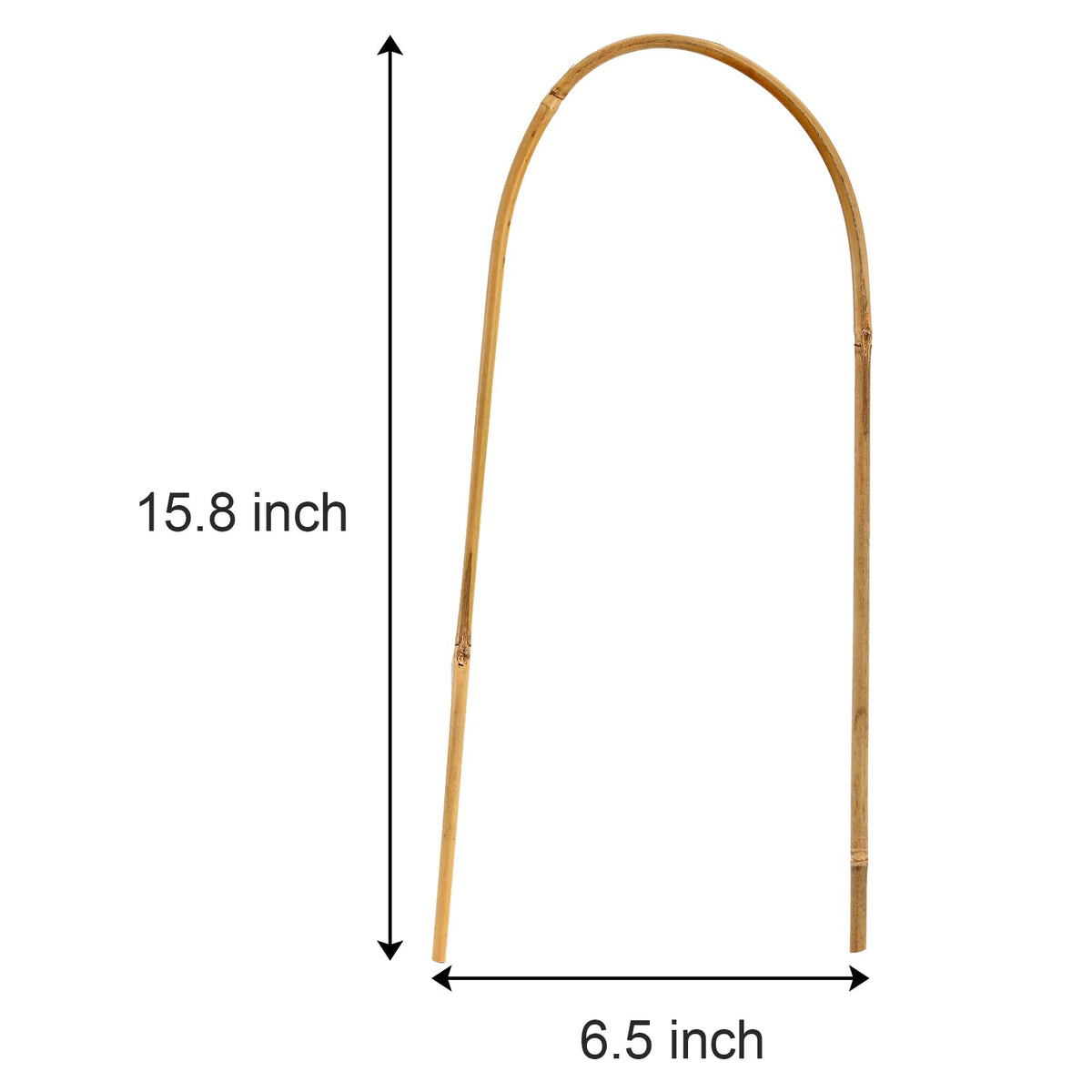 Coloch U-loop plant stake arch supports plant growth with natural bamboo strength.