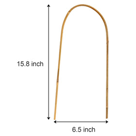 Coloch U-loop plant stake arch supports plant growth with natural bamboo strength.