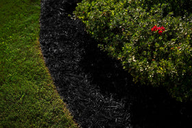COLORBACK mulch dye demonstrates 3,200 sq ft coverage for large-scale refresh.