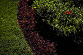 ColorBack Brown Mulch Dye pump sprayer application delivers quick color refresh with easy spraying.
