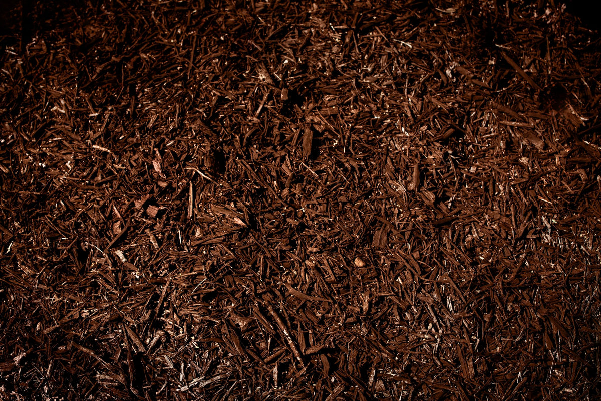ColorBack Brown Mulch Dye rain-resistance demonstrates durable color through wet seasons.