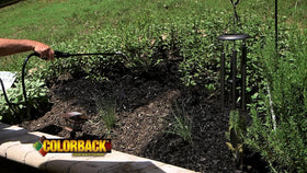 COLORBACK works on both organic and inorganic mulches for versatile use.