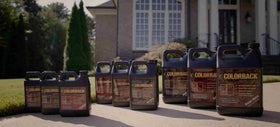 COLORBACK Red Mulch Dye on pine straw creates a uniform revitalized look.
