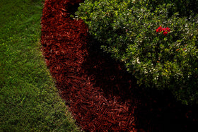 COLORBACK Red Mulch Dye pump sprayer application enables even coverage over large areas.