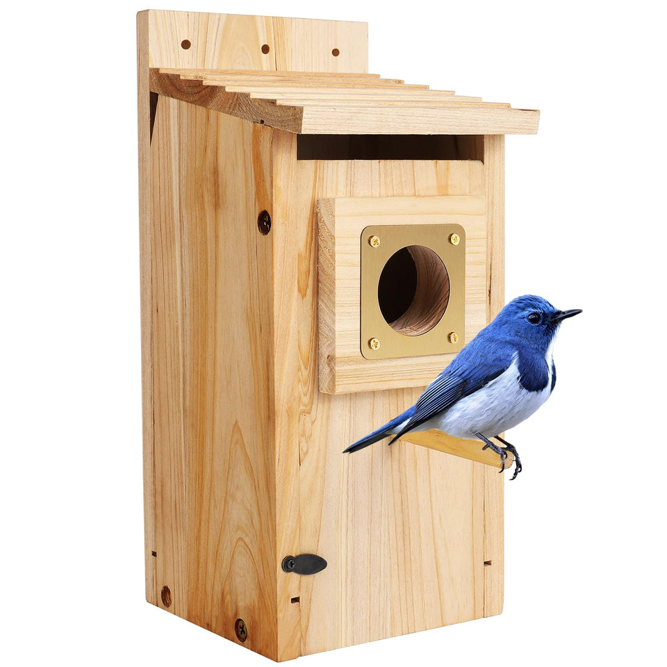 ColorfulLaVie copper guard bird house outdoors protecting fledglings.