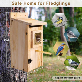 ColorfulLaVie easy-assembly bird house with screws for family projects.