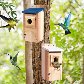 ColorfulLaVie copper-guarded bluebird nest box protects young birds