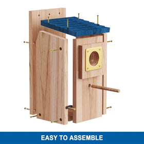ColorfulLaVie bluebird house entrance hole detail supports safe fledgling nesting
