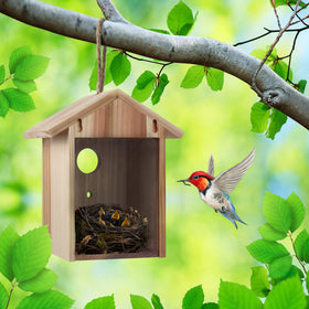 ColorfulLaVie interior-clean design helps keep birds habitat tidy.