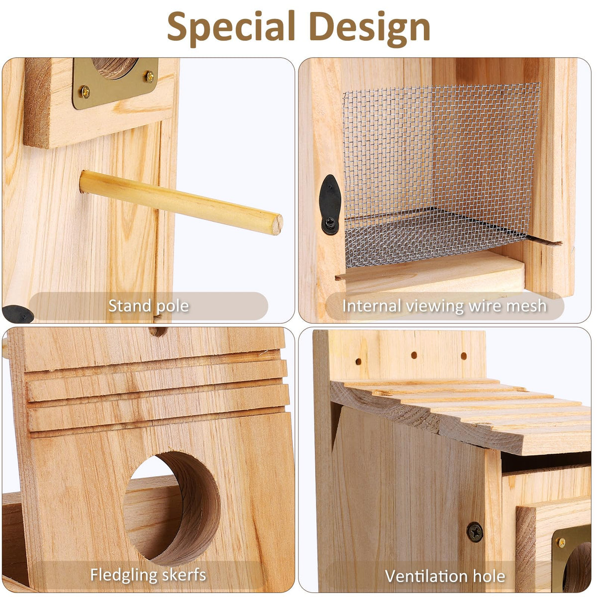 ColorfulLaVie entrance hole with perch supports feeding and viewing.
