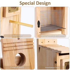 ColorfulLaVie entrance hole with perch supports feeding and viewing.