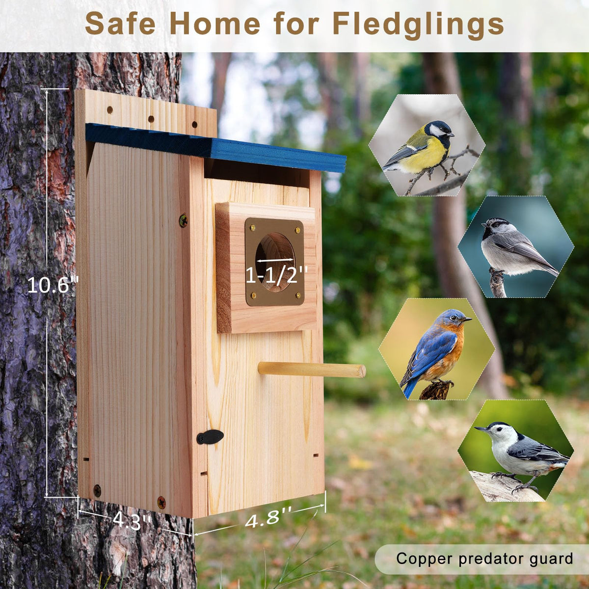 ColorfulLaVie easy-assembly nest box lets families build together