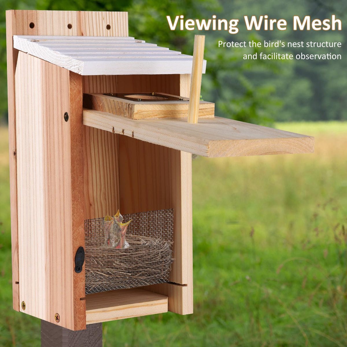 ColorfulLaVie outdoor bird housing ready for spring nesting
