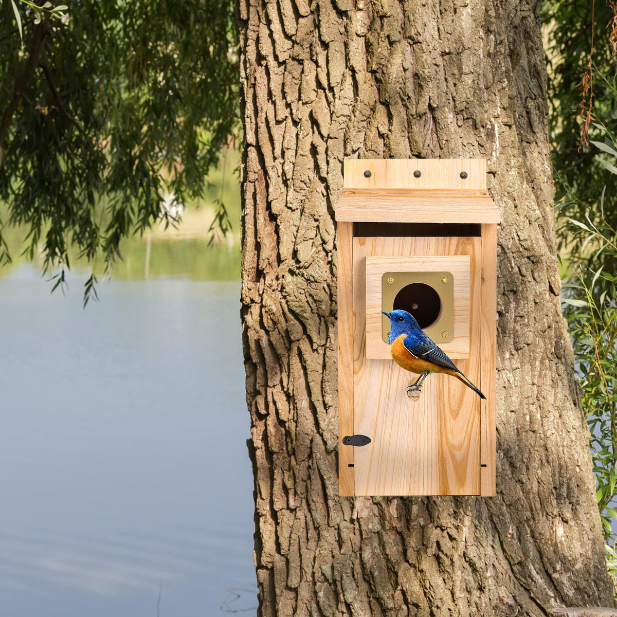 ColorfulLaVie outdoor nesting box for garden birds.