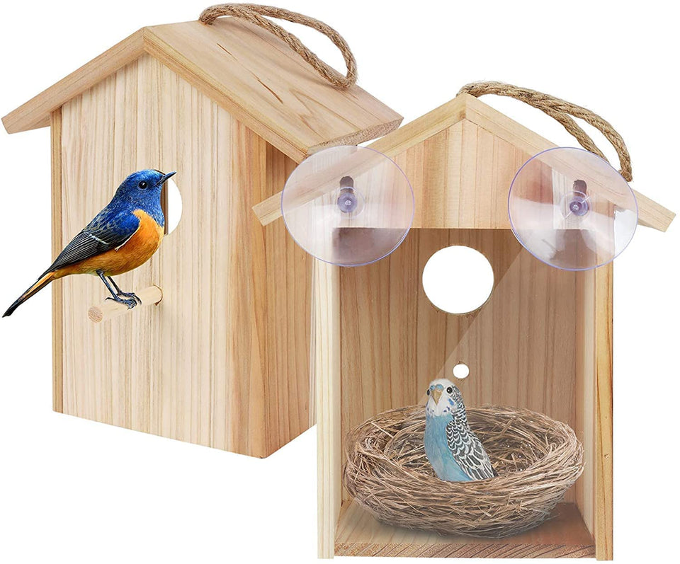 ColorfulLaVie window bird house interior view for close, non-intrusive bird watching.