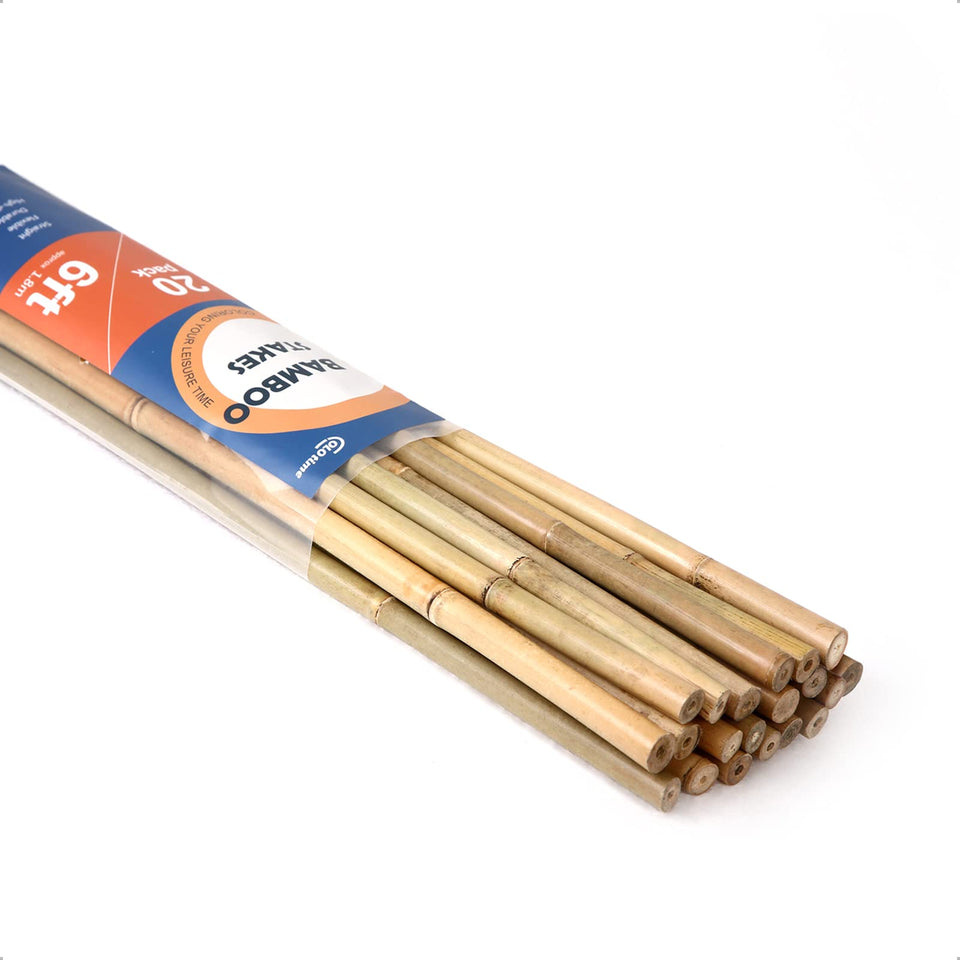 Colotime bamboo stakes 6ft 20-pack provide sturdy garden support for climbing plants.