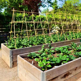 Suitable for indoor and outdoor use with tomatoes, cucumbers, peppers
