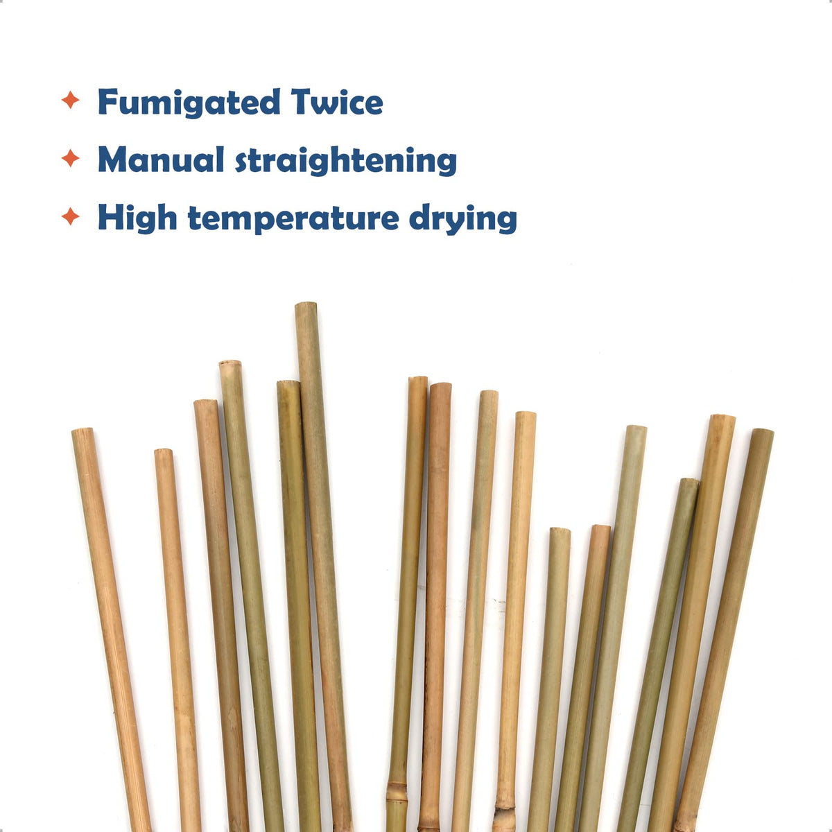 COLOtime heat treated bamboo stakes visible in a trellis frame setup