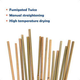 COLOtime heat treated bamboo stakes visible in a trellis frame setup