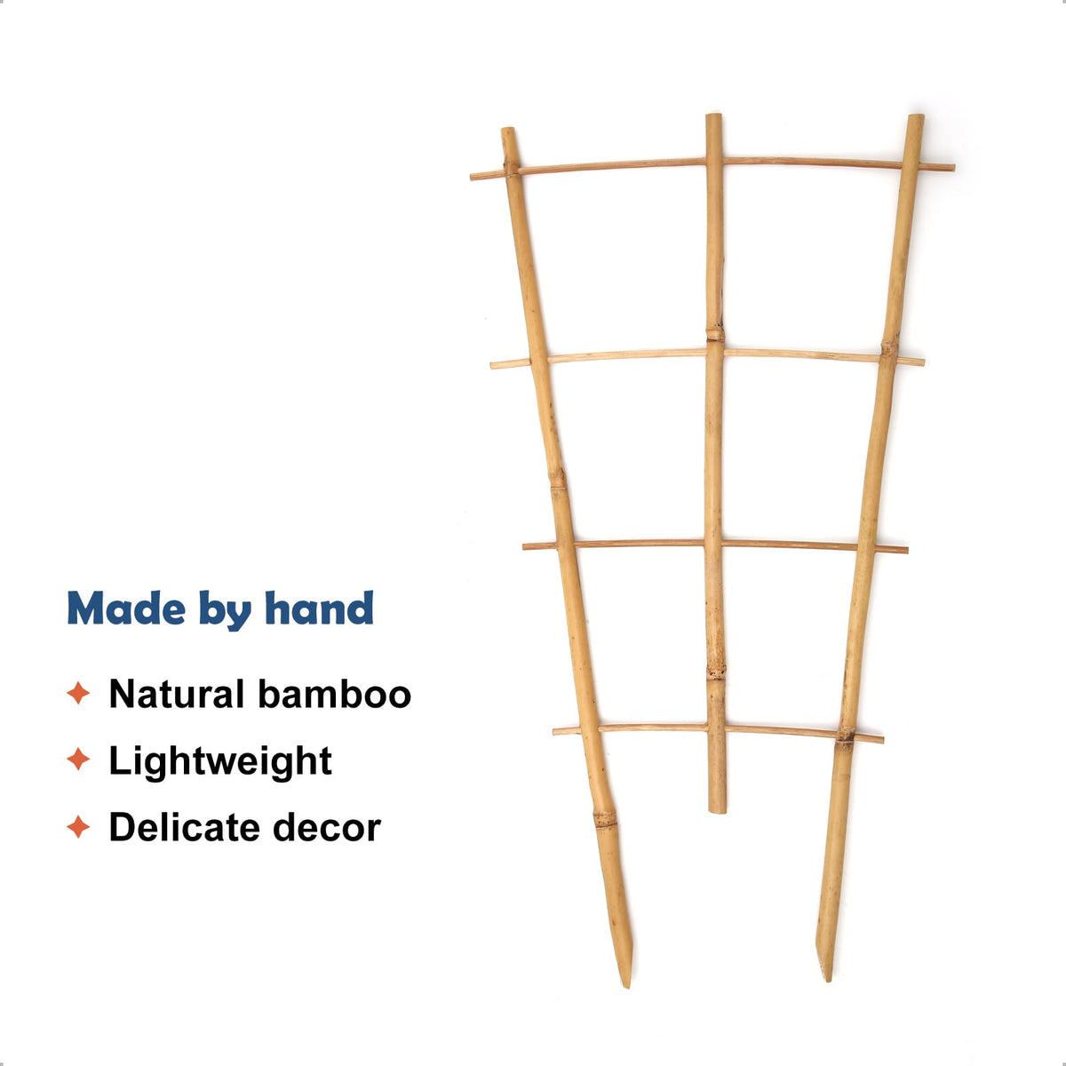 COLOtime bamboo trellis shown in use, ideal for Monstera and pothos training.