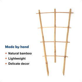 COLOtime bamboo trellis shown in use, ideal for Monstera and pothos training.