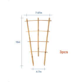 Durable 16-inch fan trellis supports vines and orchids indoors.