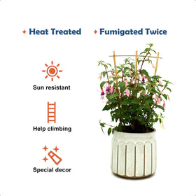 Natural bamboo poles provide flexible, long-lasting garden-themed support.