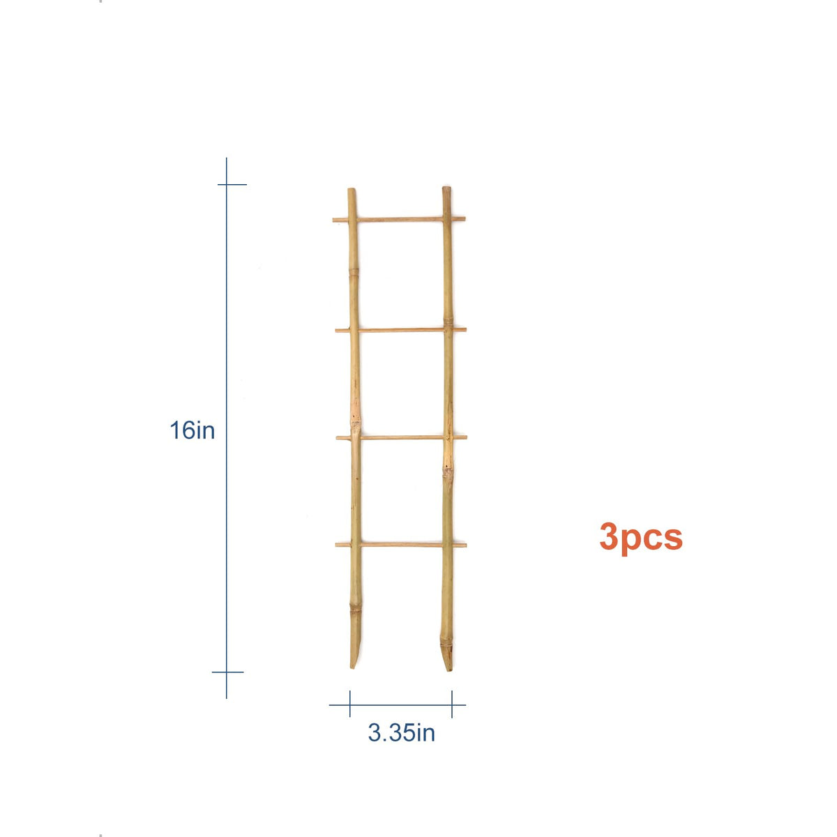 COLOtime bamboo trellis ladder monstera support keeps Monstera upright.