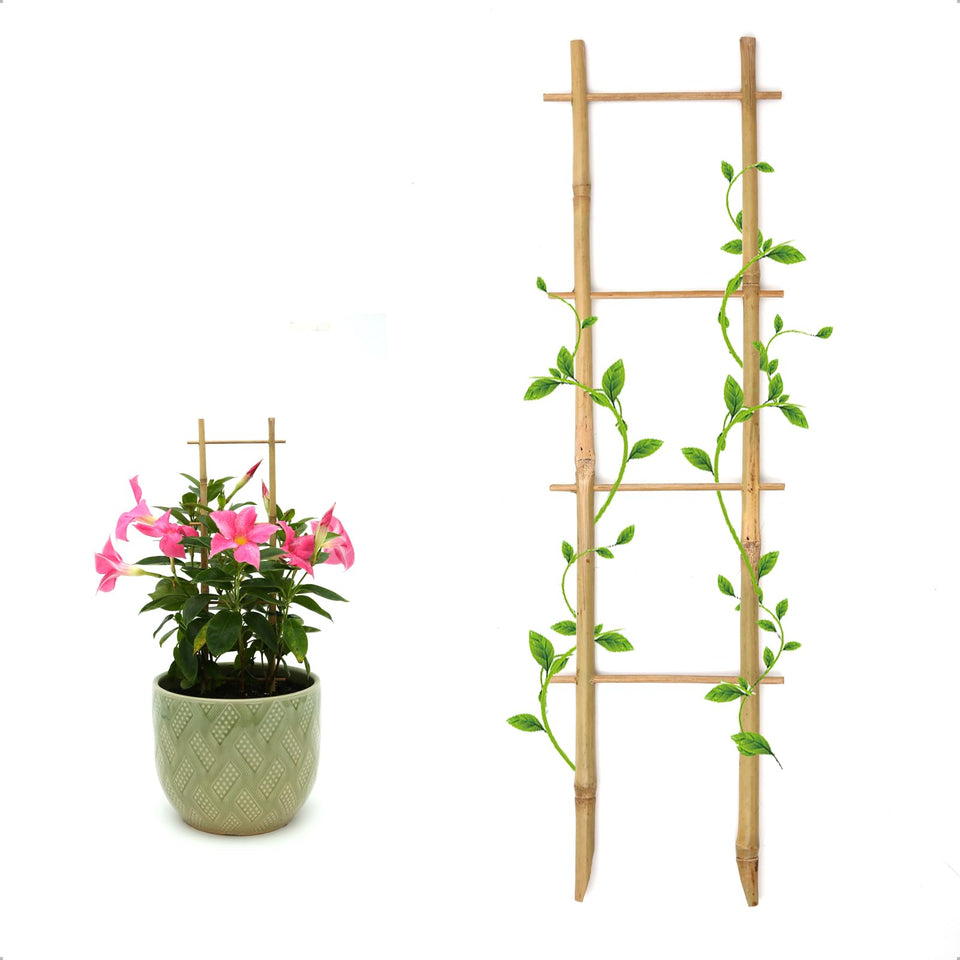 COLOtime bamboo trellis ladder pack setup supports indoor plants.