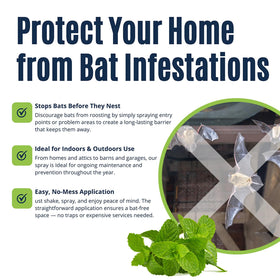 Colton's Naturals Bat Repellent Spray outdoors keeps porches bat-free