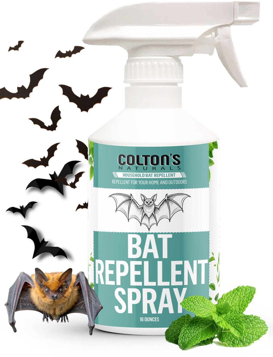 Colton's Naturals Bat Repellent Spray around the perimeter deters roosting