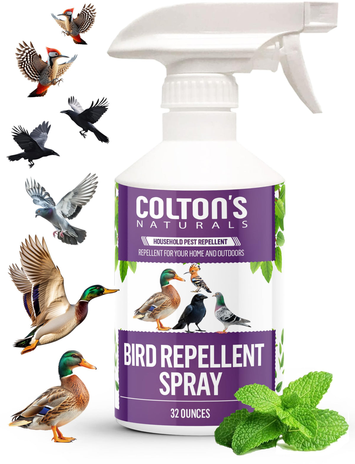 Colton's Naturals Bird Repellent Spray bottle 32oz deters pigeons and other birds around outdoor spaces.