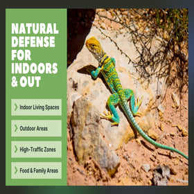 Colton's Naturals bottle on a doorway illustrates convenient placement for entryways.