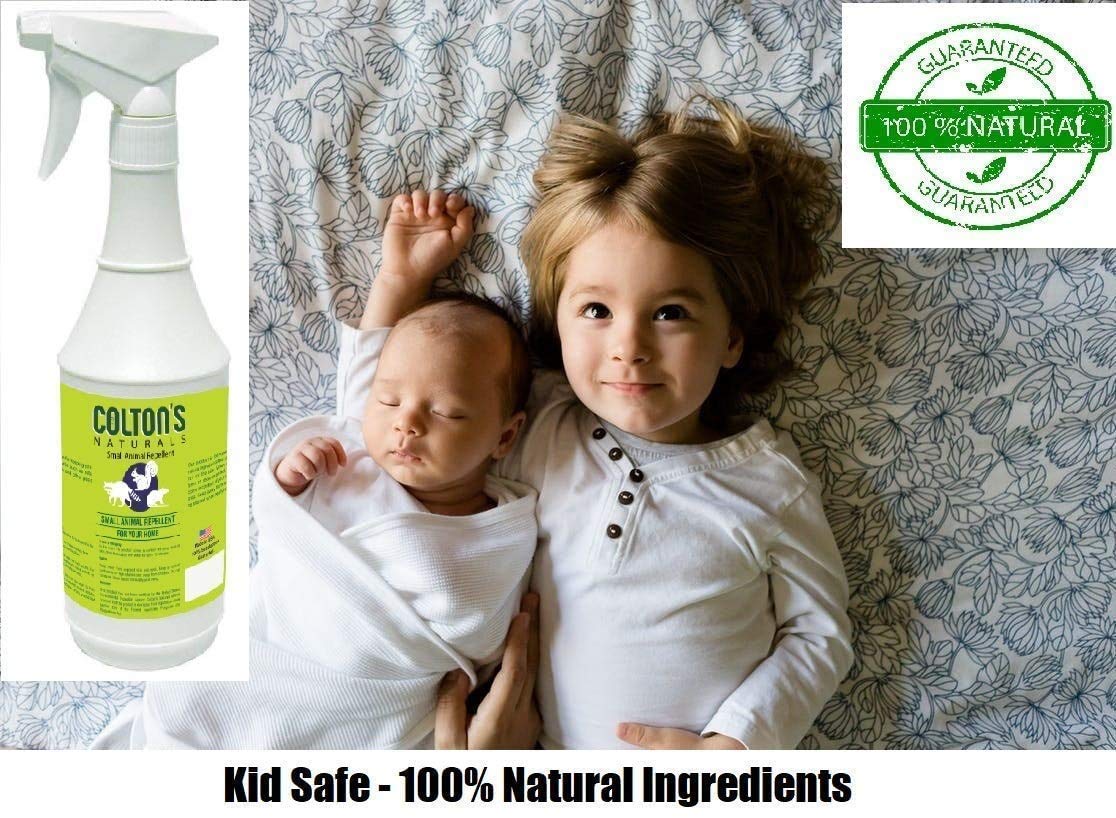 Colton's Naturals Lizard Repellent emits peppermint and cinnamon scent to deter pests.