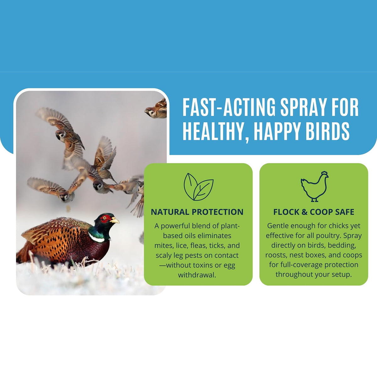 Nest boxes and spray area usage by Colton’s Naturals keeps surroundings pest-friendly.