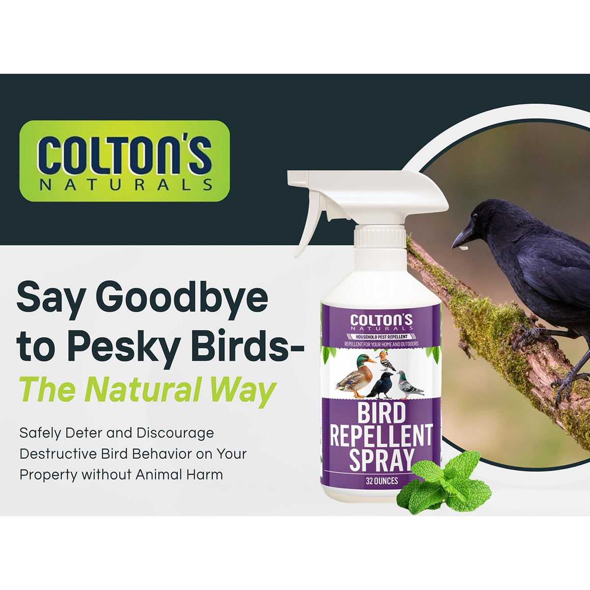 Colton's Naturals woodpecker-deterrent spray targets pecking areas on siding and decks.