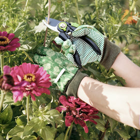 Colwelt cultivator breaks up compacted soil to aerate beds